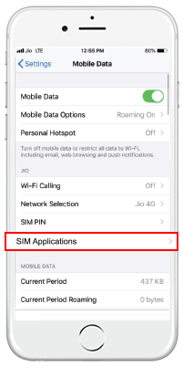 iPhone (Physical Sim) SIM Applications Setting