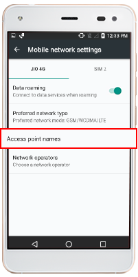 Mobile network Access Point Names